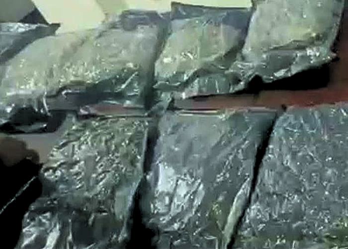 කෝටි 21ක කුෂ් වත්තලින් (VIDEO)