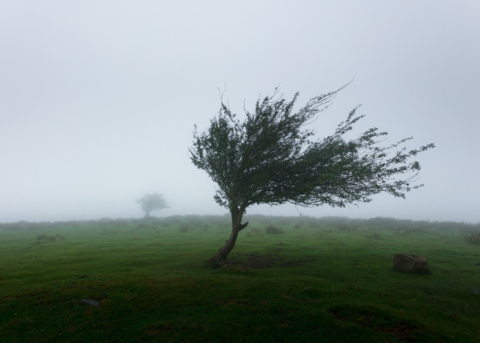 අද කාලගුණය
