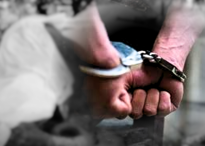 වන අලියාට ගිනි තැබූ සැකකරුවන් තිදෙනා දැලේ