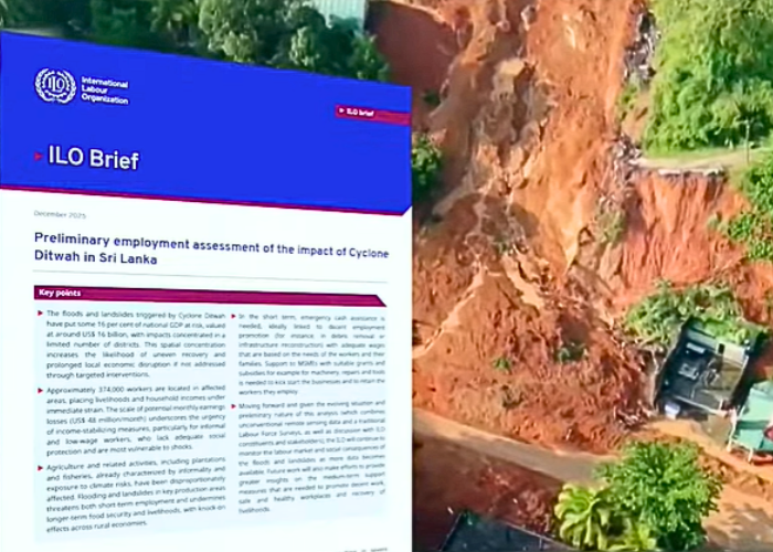 දිත්වා නිසා ලක්ෂ 4කට නැතිවන රැකියා (VIDEO)