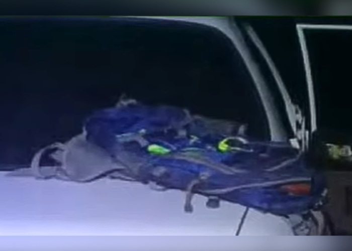 ඝාතන තැතක් එළියට – සැකකරුවෙකු අත්අඩංගුවට (VIDEO)