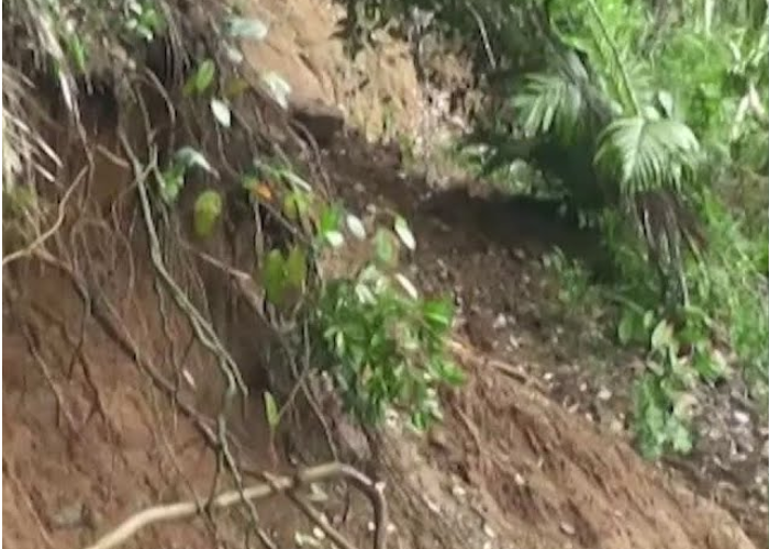 අදත් වැසි – රත්නපුරයට මි.මී 90 පනී – නායයෑම් කිහිපයක් (VIDEO)