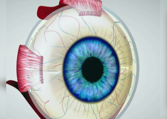 වැඩිවෙන ඇස් ලෙඩ (VIDEO)