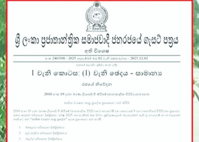 දිත්වා මරණ 465ක් 366ක් අතුරුදන් – ජාතික ව්‍යසන ප්‍රදේශ 22ක් නම් කරමින් ගැසට්ටුවක් (VIDEO)