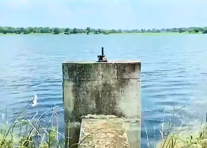 සිවලාකුලම මහවැව පාරම්පරික ගොවීන්ට සිය ඉඩම් අහිමි විමේ අවදානමක් (VIDEO)