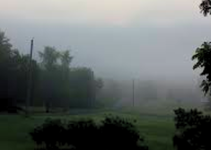 අද කාලගුණය