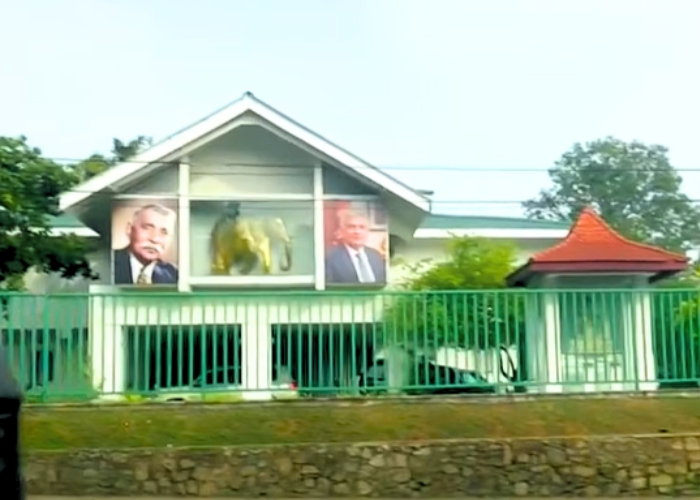 දුරකථනයයි අලියයි කැමතිවෙයි (VIDEO)