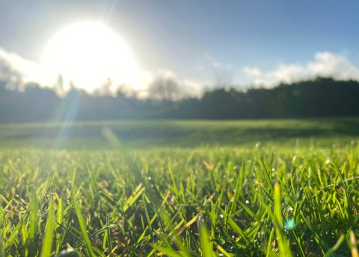 අද කාලගුණය