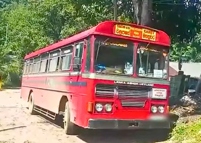 වටිනා ජීවිත බිළිගන්නා මාරක අනතුරු (VIDEO)