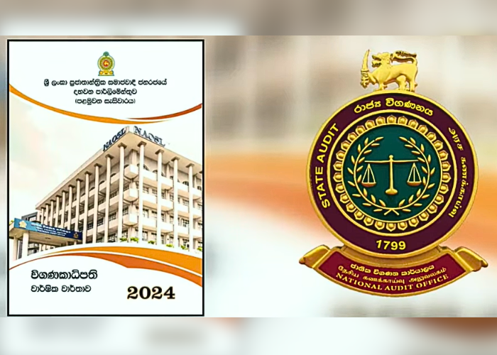 වැඩක් නොකර කෝටි ගණන් එකතු කළ පුංචි සභා (VIDEO)