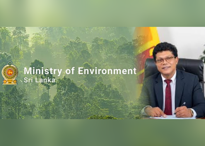 දිත්වා පරිසරයට කළ හානිය (VIDEO)