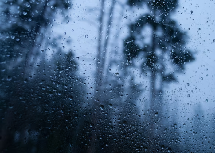 අද කාලගුණය