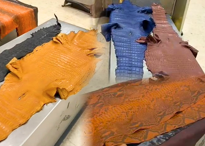 නීතිවිරෝධී ලෙස සත්ව හම් රැගෙන ආ ව්‍යාපාරිකයෙකු රේගු අත්අඩංගුවට