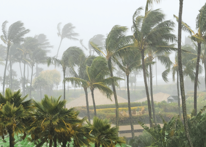 අද කාලගුණය