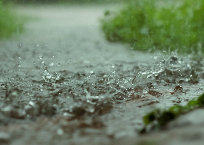 අද කාලගුණය