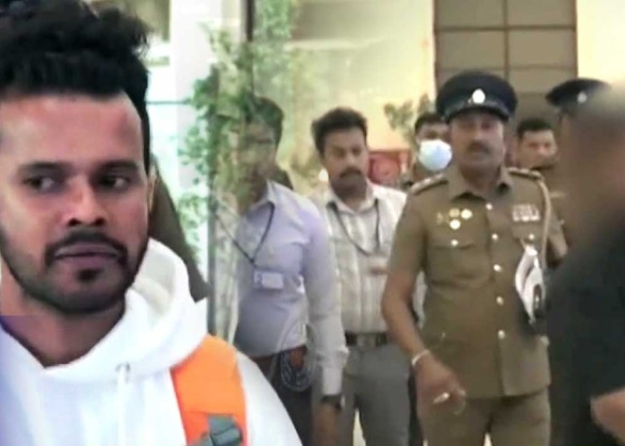 කට්ටි පැන්න පොඩි ලැසි ලංකාවට රැගෙන එයි (VIDEO)