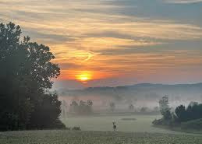 අද කාලගුණය