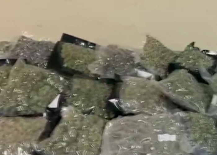 කටුනායකින් හමුවූ රුපියල් කෝටි 16ක කුෂ් (VIDEO)