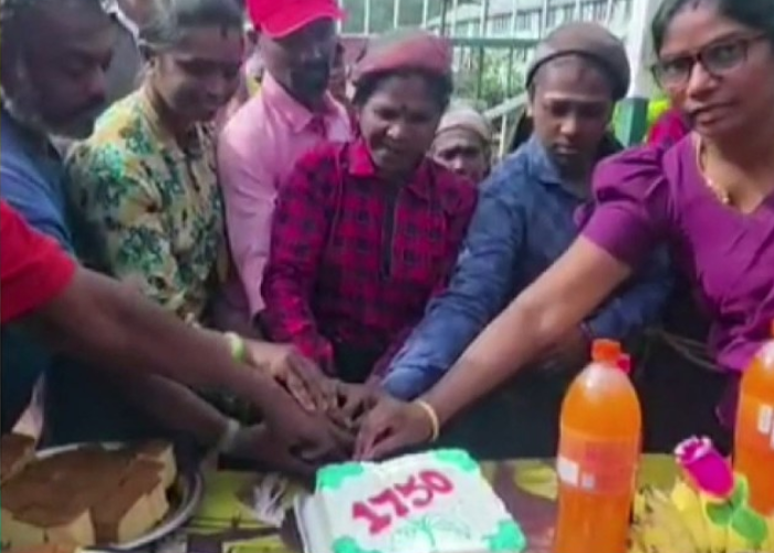 වතුකම්කරුවන්ගේ වැටුපේ සතුට (VIDEO)