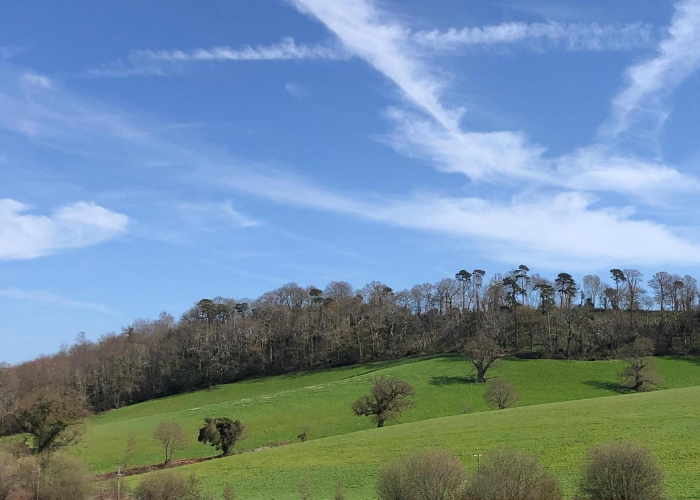 අද කාලගුණය