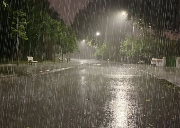 අද කාලගුණය