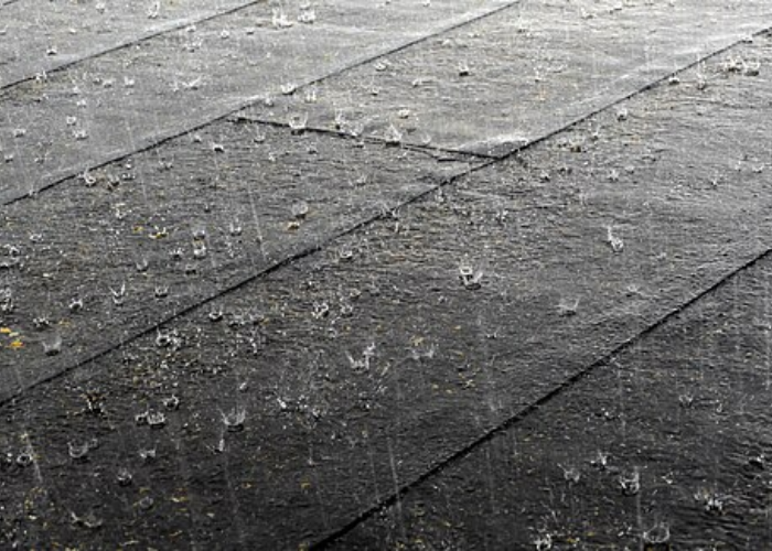 අද කාලගුණය