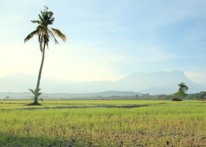 අද කාලගුණය