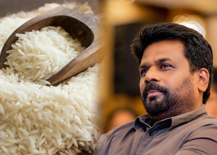 සහල් ගේන්න ජනපතිගෙන් ගැසට් එකක් (VIDEO)