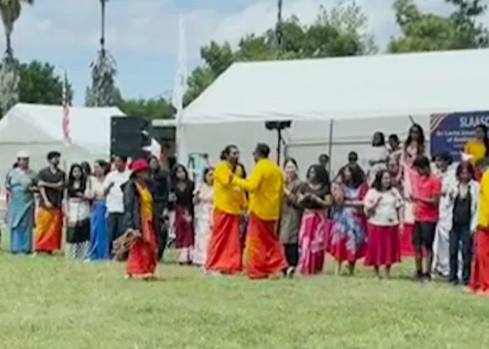 ලොස් ඇන්ජලීස් සූර්ය මංගල්‍යය (VIDEO)