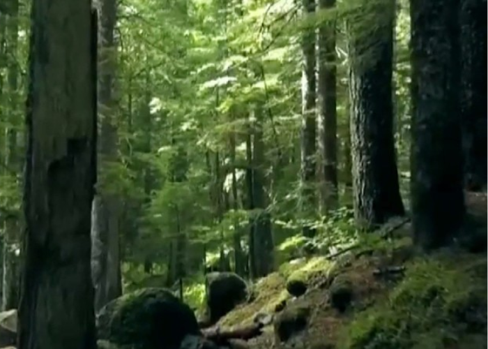 යොදා මිනිස් බලයක් – රැකගමු මිහිතලය (VIDEO)