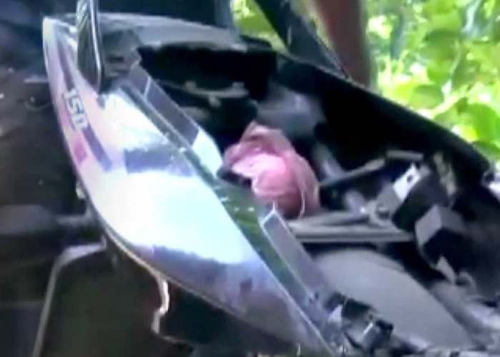 ලක්ෂ 50 කට වැඩි හෙරොයින් සමඟ 19 ක් කොටු (VIDEO)