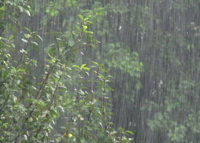අද කාලගුණය