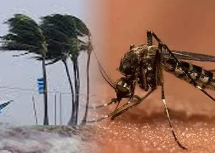 නිරිත දිග මෝසමත් එන ලකුණු – ඩෙංගුත් වැඩිවෙයි (VIDEO)