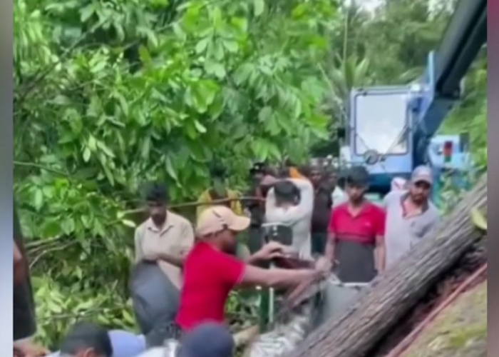 ත්‍රී රෝද රථයකට ගසක් කඩා වැටෙයි (VIDEO)