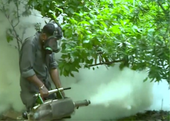 ඩෙංගු ඉහළට – පළමු දිනයේ පරිශ්‍ර 70,000ක් පරික්ෂාවට (VIDEO)