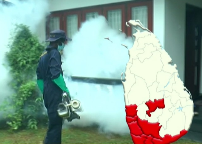 පළාත් 6ක් අධි අවදානම් – අද සිට නැවත ඩෙංගු මර්දන වැඩසටහන් (VIDEO)