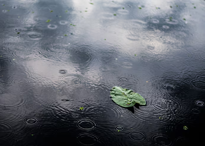 අද කාලගුණය