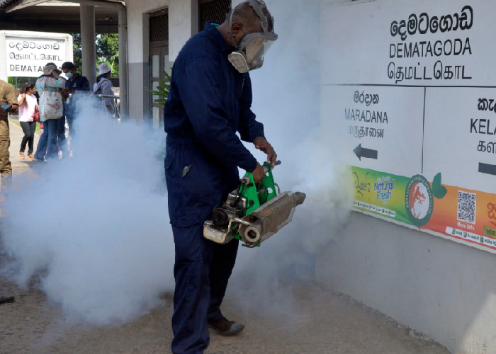 පැය 24ට 1200ක් – සමස්ත ඩෙංගු රෝගීන් 57,000 පනී (VIDEO)
