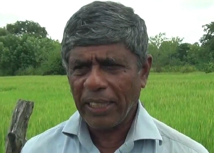 අස්වැන්න නෙලන විට පමණක් වී ගබඩාව විවෘත කරන්න (VIDEO)
