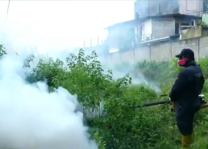 දින 15යි – රෝගීන් 72,000 ඉක්මවයි  (VIDEO)