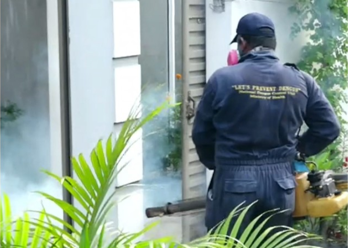 ඩෙංගු මරණ 48ක් – කාන්තාවන් 30ක් – 70,000ට ආසන්නයි (VIDEO)