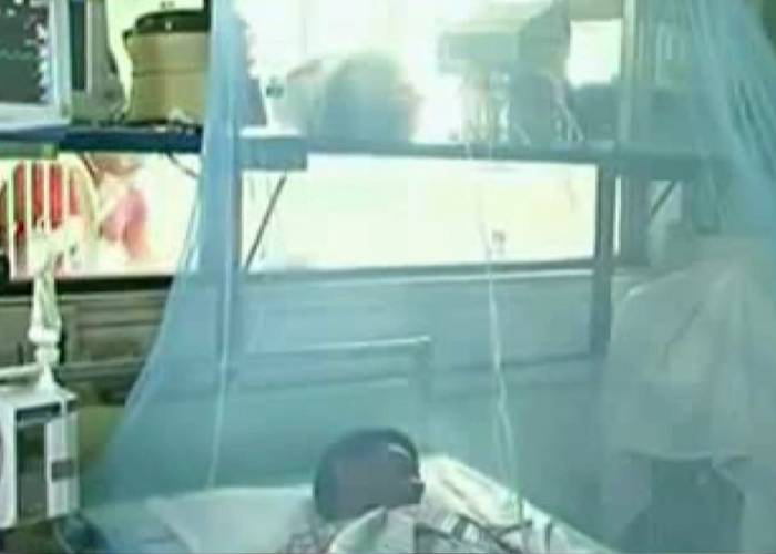 80,000 පැන්න ඩෙංගු – මරණ 59ක් (VIDEO)