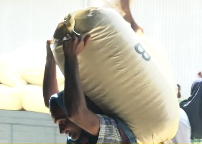 වී මිලදී ගැනීම 3වන දිනටත් (VIDEO)