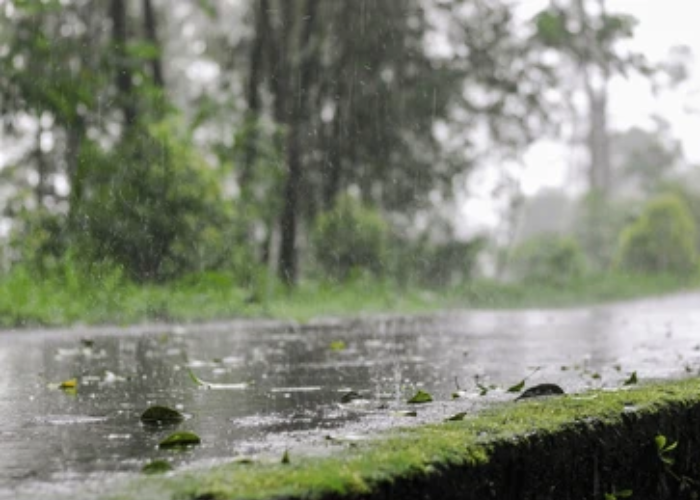 අද කාලගුණය