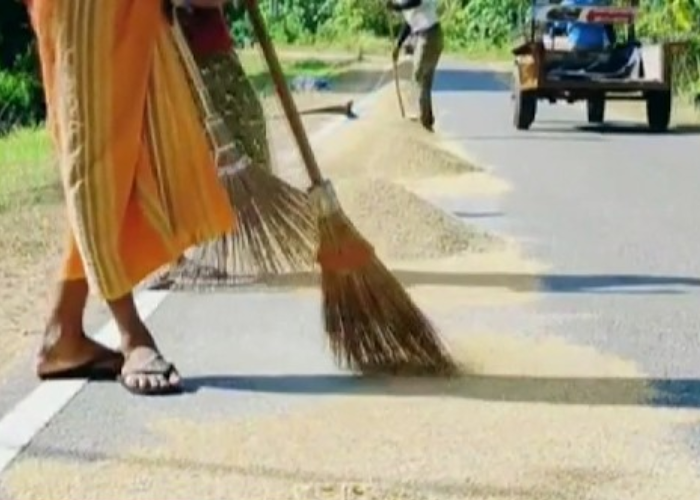 වී මිලදී ගැනීම තවදුරටත් – ගොවීන්ගෙන් මැසිවිලි (VIDEO)