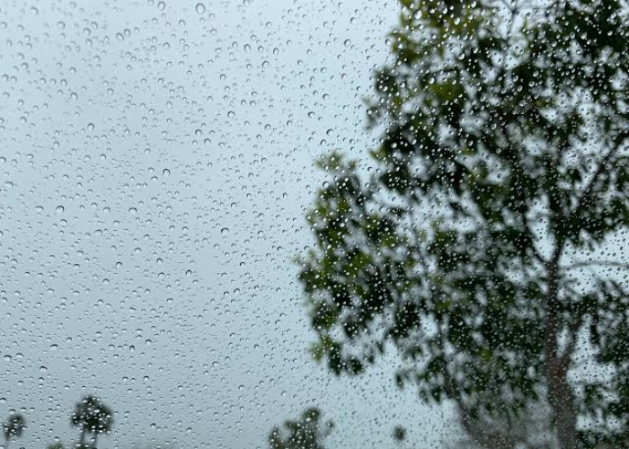 අද කාලගුණය