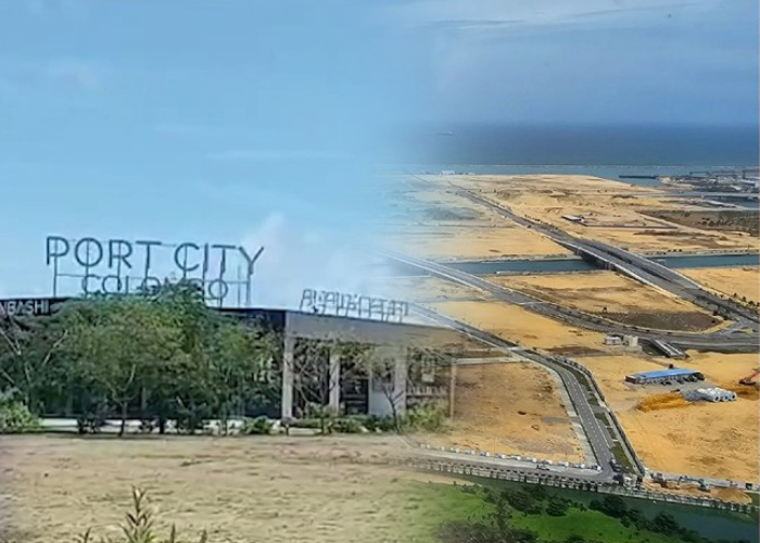 මසුන් ඇල්ලූ චීන ජාතිකයන්ට වැඩ වරදී (VIDEO)