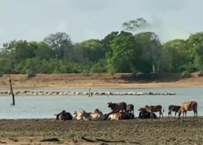 දිවයිනේ නිරිතදිග කොටසේ වැසි තත්ත්වයේ අඩුවීමක් (VIDEO)