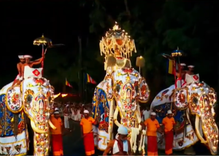 පළමු කුඹල් පෙරහර අද (VIDEO)