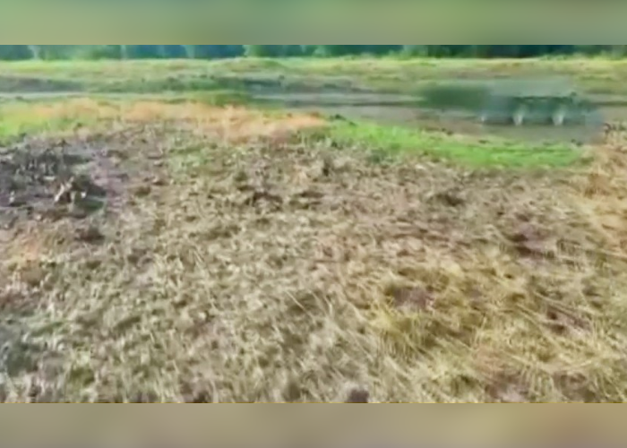 එල් නිනෝ වෙන් ගොවිබිම් අක්කර 8000ක් විනාශයි (VIDEO)